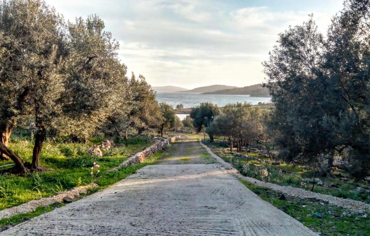 "Koukmos Beach" Greenspace Living - Private Sandy Beach Parákoila Dış mekan fotoğraf