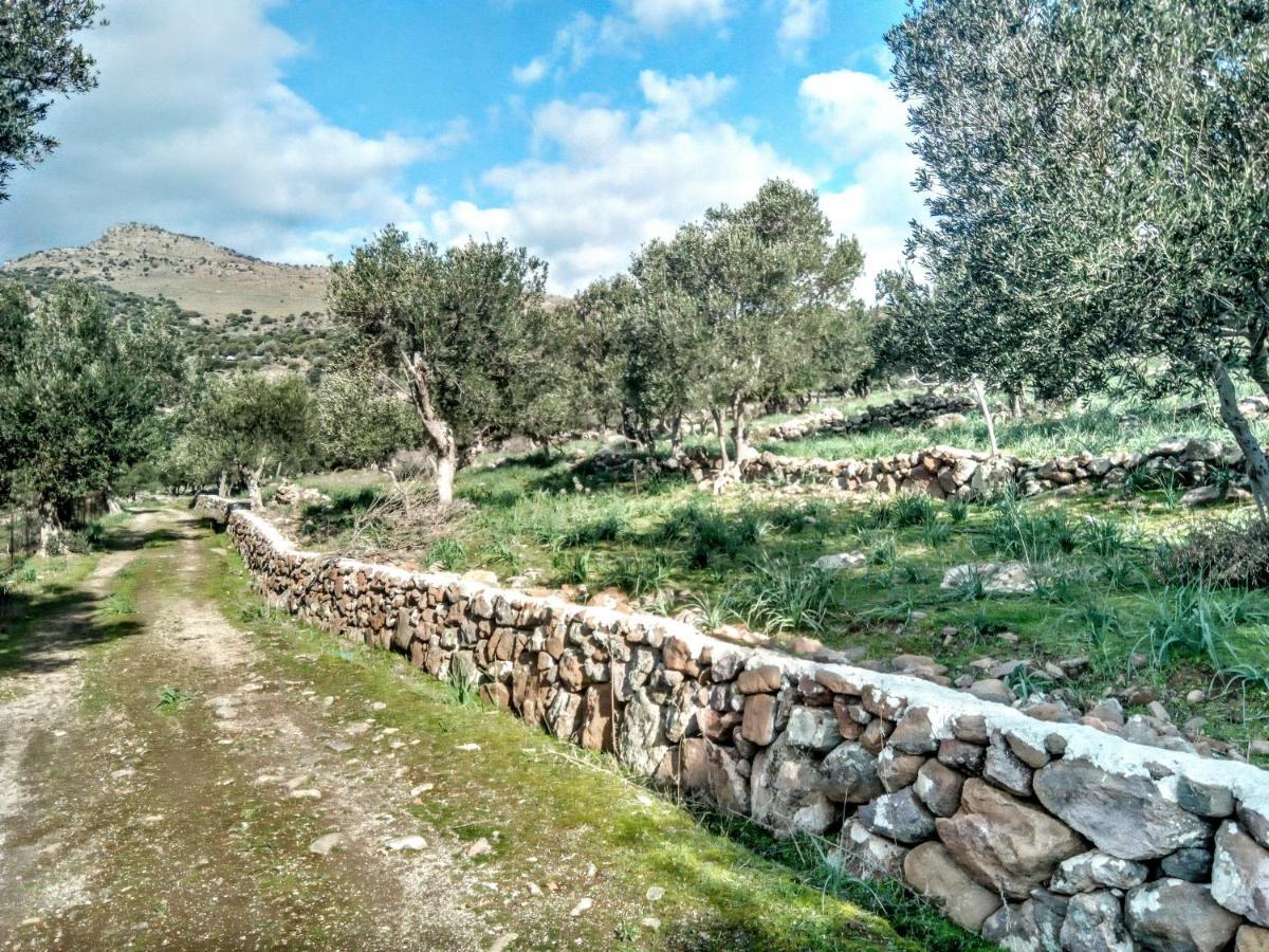 "Koukmos Beach" Greenspace Living - Private Sandy Beach Parákoila Dış mekan fotoğraf