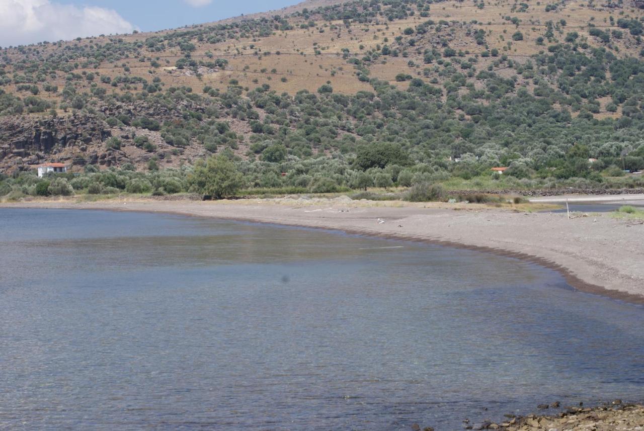"Koukmos Beach" Greenspace Living - Private Sandy Beach Parákoila Dış mekan fotoğraf