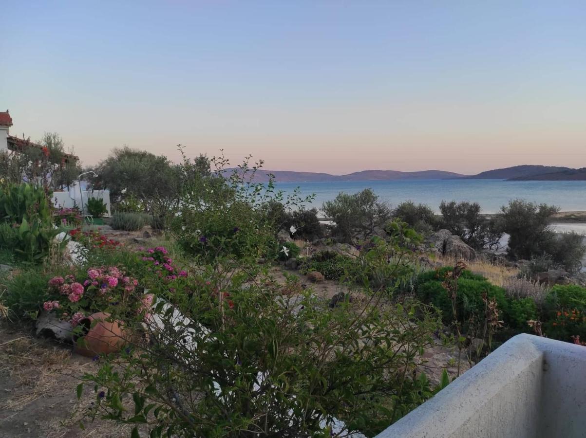 "Koukmos Beach" Greenspace Living - Private Sandy Beach Parákoila Dış mekan fotoğraf